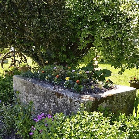 Le Vieux Noyer Bed and Breakfast Saint-Maurice-de-Tavernole Buitenkant foto